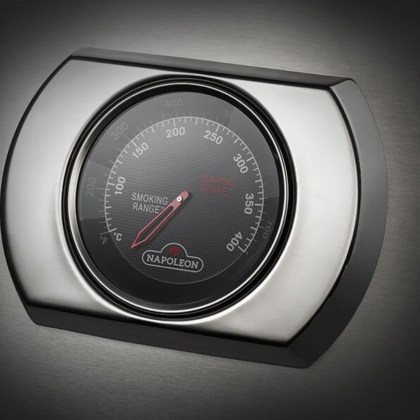 Napoleon BI32 500 Series Built-In Gas Grill